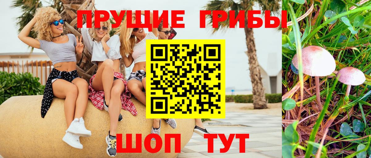 Домодедово  Псилоцибиновые грибы прущие грибы  Галлюциногенные грибы MAGIC MUSHROOMS  Вход с VPN 